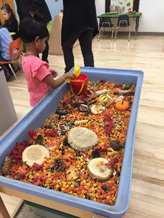 Girl playing in a sensory bin full of autumn inspired objects