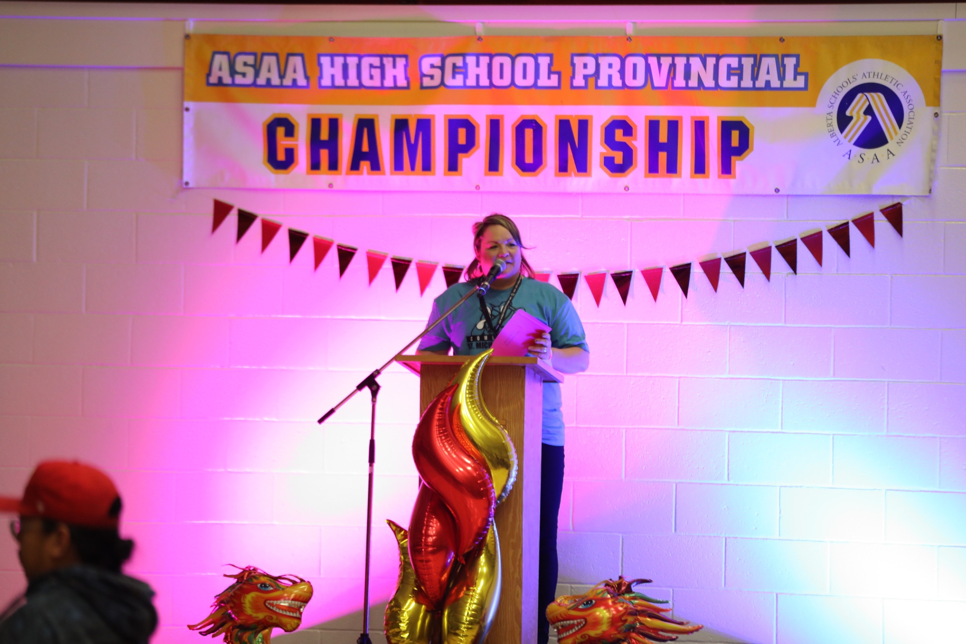 SMPC VB PROVINCIALS13